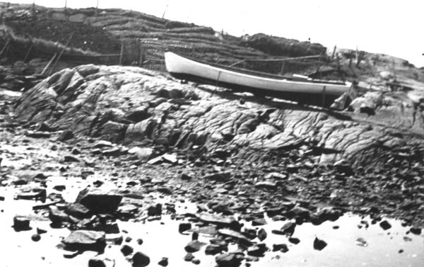 398: Skiff pulled up on Dunphy's island, by their cabbage garden. [courtesy of Mollie McCarthy]